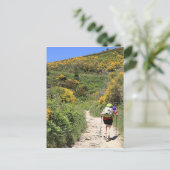 El Camino, Molinaseca bis O'Cebreiro, Spanien Postkarte (Stehend Vorderseite)
