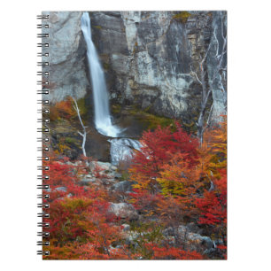 El Chorrillo Wasserfall Patagonia, Argentinien Notizblock