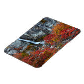 El Chorrillo Wasserfall | Patagonien, Argentinien Magnet (Linke Seite)