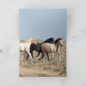 El Dorado und seine Grußkarte Dankeskarte (Innenseite)