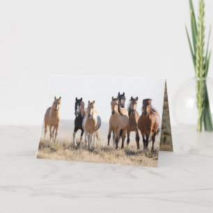 El Dorado und seine Grußkarte Dankeskarte