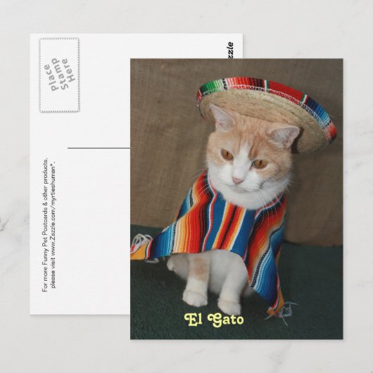 EL Gato Bubba Postkarte (Vorne/Hinten)