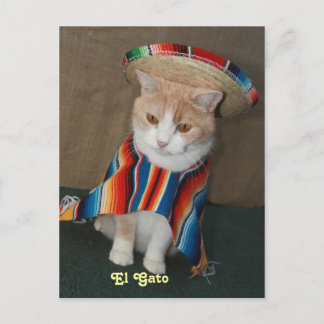 EL Gato Bubba Postkarte