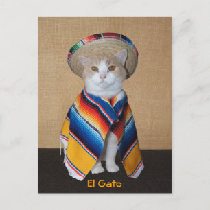 El Gato Cat in Sombrero und Serape Postkarte