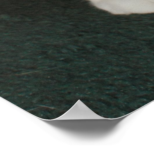 El Gato Poster (Ecke)