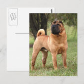 EL JAYS POSTCARD POSTKARTE (Vorne/Hinten)