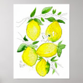 El Limon Poster (Vorne)