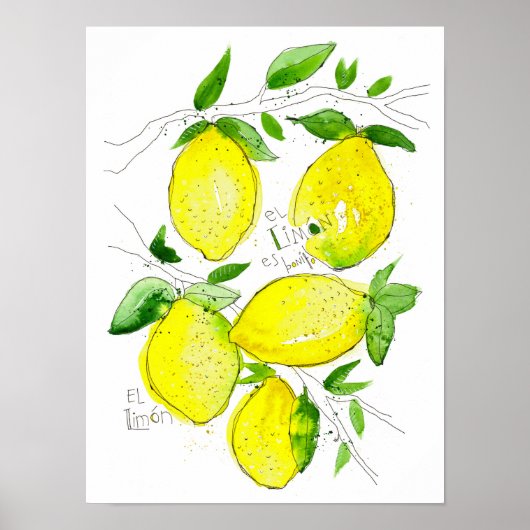 El Limon Poster (Vorne)