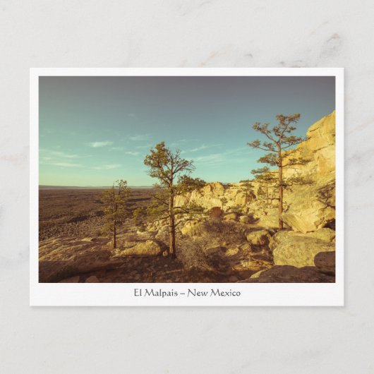 El Malpais - Die Sandstone Bluffs Postkarte (Vorderseite)