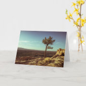 El Malpais, New Mexico Landschaft Foto Karte (Gelbe Blume)