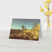 El Malpais, New Mexico Landschaft Foto Karte (Gelbe Blume)