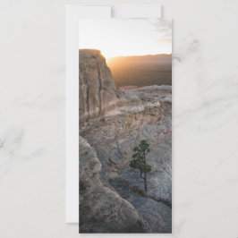 El Malpais Sandstone Bluffs Karte