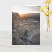 El Malpais Sandstone Bluffs Karte (Gelbe Blume)