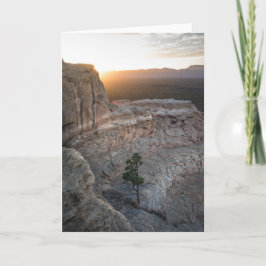 El Malpais Sandstone Bluffs Karte