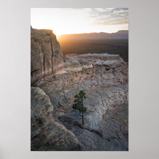 El Malpais Sandstone Bluffs Poster (Vorne)