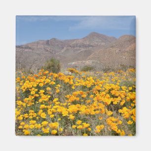 El Paso Mohnblumen Magnet