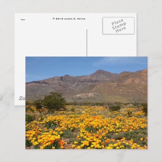 El Paso Poppies Postkarte (Vorne/Hinten)