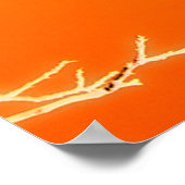 El Paso Poster (Ecke)