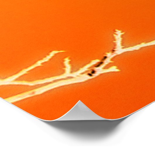 El Paso Poster (Ecke)