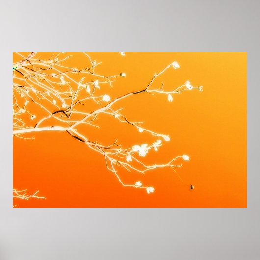 El Paso Poster (Vorne)