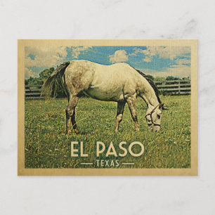 El Paso Texas Pferdefarm - Vintage Travel Postkarte