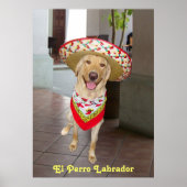 El Perro Poster (Vorne)