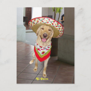 El Perro Postkarte