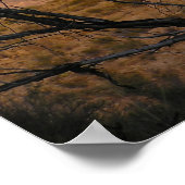 El Pico Moonrise - Big Bend, Texas Poster (Ecke)