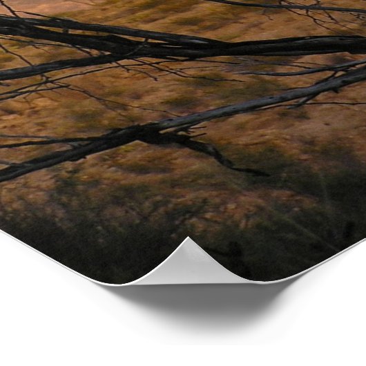 El Pico Moonrise - Big Bend, Texas Poster (Ecke)