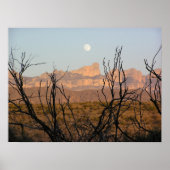 El Pico Moonrise - Big Bend, Texas Poster (Vorne)