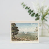 El Pinal Vineyard, Landkreis San Joaquin Postkarte (Stehend Vorderseite)