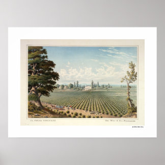 El Pinal Vineyard, San Joaquin Landkreis Poster