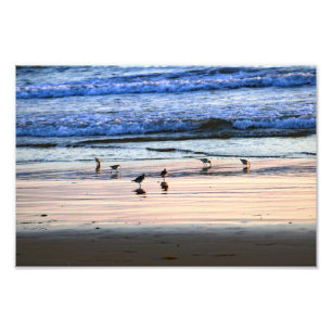 El Porto Manhattan Beach Fotodruck