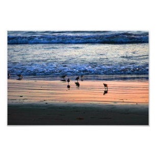 El Porto Manhattan Beach Fotodruck