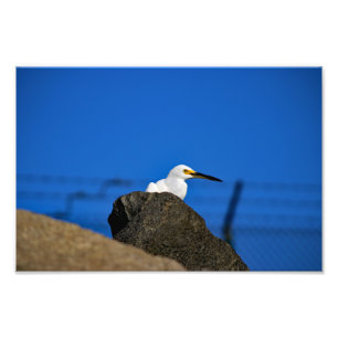 El Porto Manhattan Beach Fotodruck