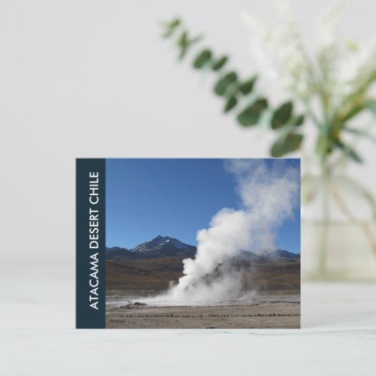 El Tatio Geyser, Atacama Wüste, Chile Postkarte (Stehend Vorderseite)