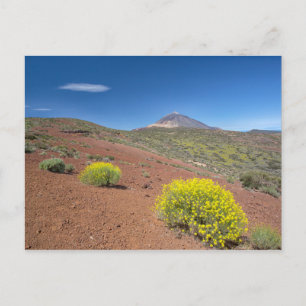 El Teide im Springtime Postkarte