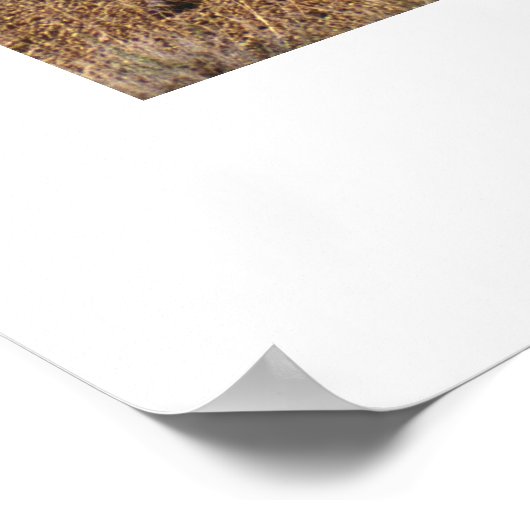 El Teide Poster (Ecke)