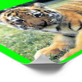 El Tigre (in englischer Sprache: The Tiger) Poster (Ecke)