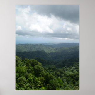 El Yunque National Forest Poster