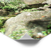 El Yunque Puerto Rico Gerahmtes Foto Poster (Ecke)