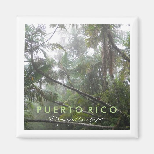 El Yunque, Puerto Rico Magnet (Vorne)