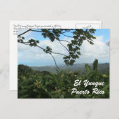 EL Yunque, Puerto Rico Postkarte (Vorne/Hinten)
