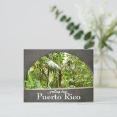 El Yunque, Puerto Rico Postkarte (Stehend Vorderseite)