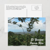 El Yunque, Puerto Rico Postkarte (Vorne/Hinten)
