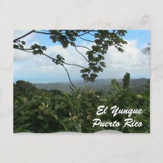 El Yunque, Puerto Rico Postkarte
