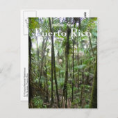 El Yunque, Puerto Rico Postkarte (Vorne/Hinten)
