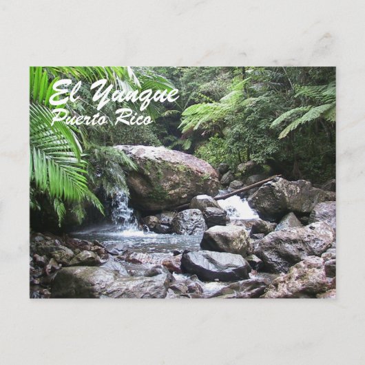 El Yunque, Puerto Rico Postkarte (Vorderseite)