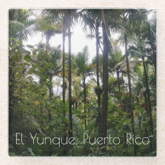 El Yunque, Puerto Rico Untersetzer (Vorderseite)