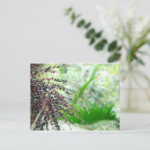 El Yunque Rain Forest Postkarte (Stehend Vorderseite)